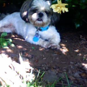 Meet your Posher, Jill